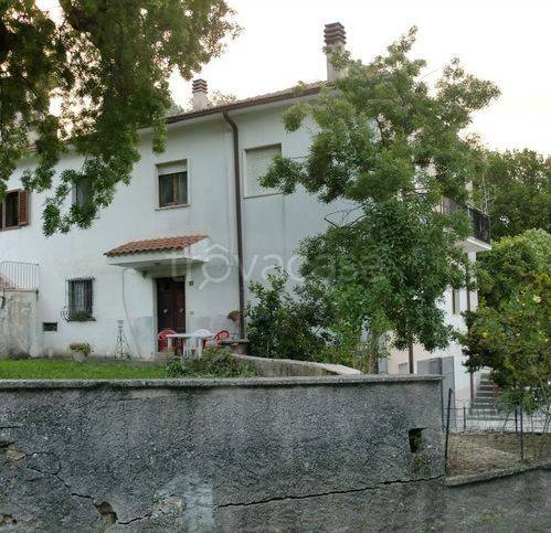 immagine annuncio 2 di 8