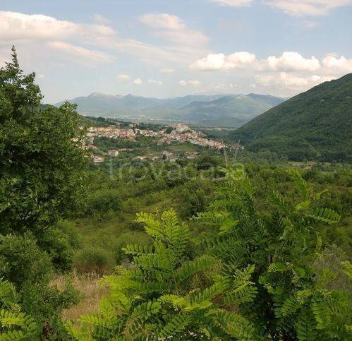 immagine annuncio 3 di 14