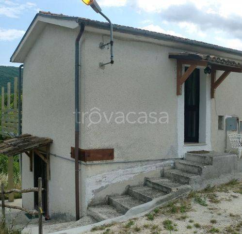 immagine annuncio 11 di 14