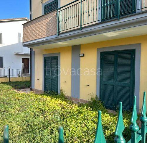 immagine annuncio 7 di 8