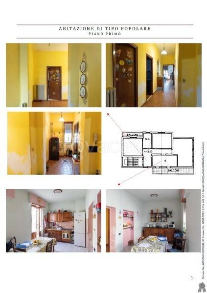 immagine annuncio 2 di 12