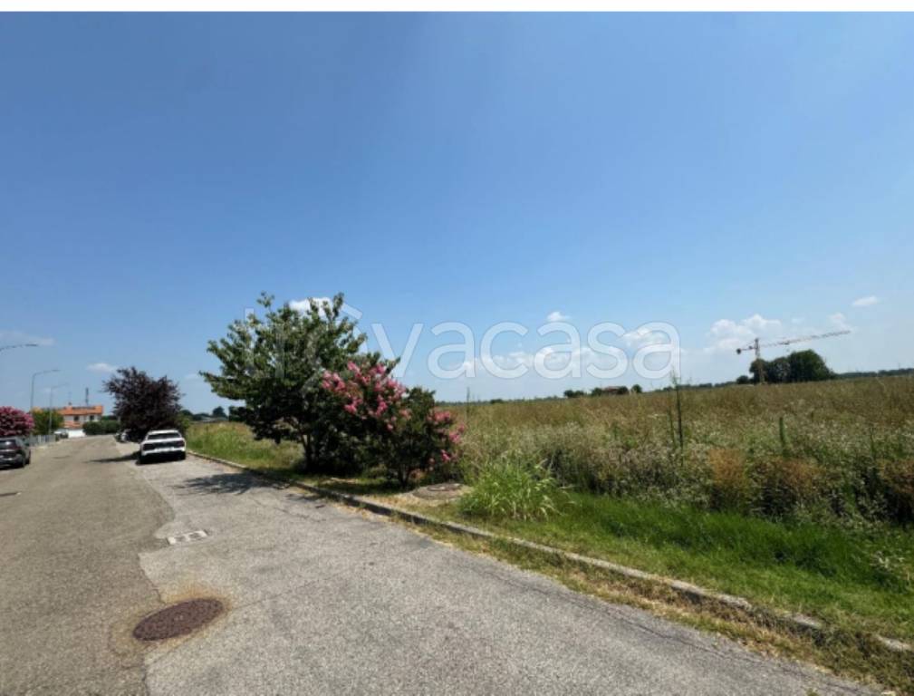 immagine annuncio 6 di 13