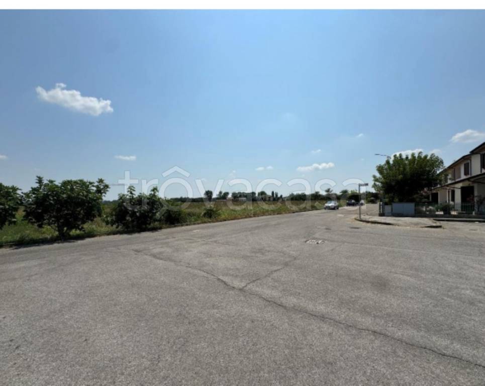 immagine annuncio 7 di 13