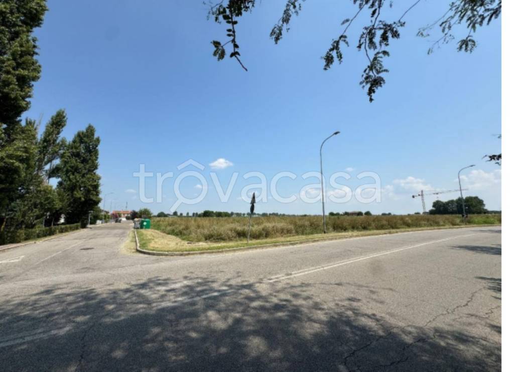 immagine annuncio 10 di 13