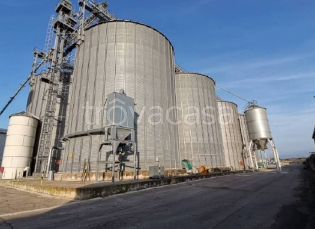 immagine annuncio 2 di 12