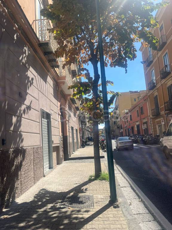 immagine annuncio 6 di 8