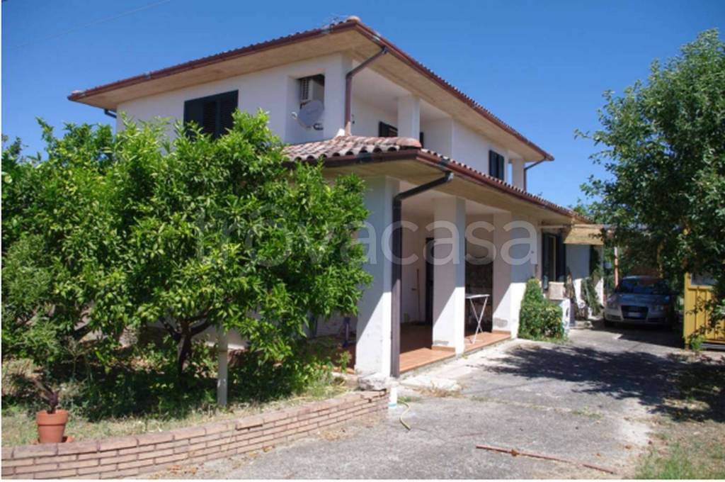 immagine annuncio 6 di 14