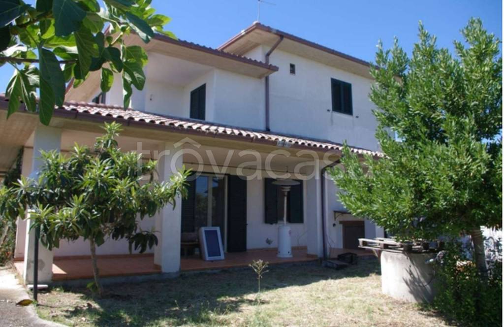 immagine annuncio 7 di 14