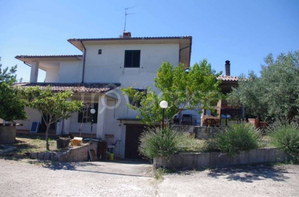 immagine annuncio 8 di 14