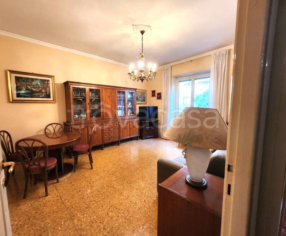 immagine annuncio 6 di 12