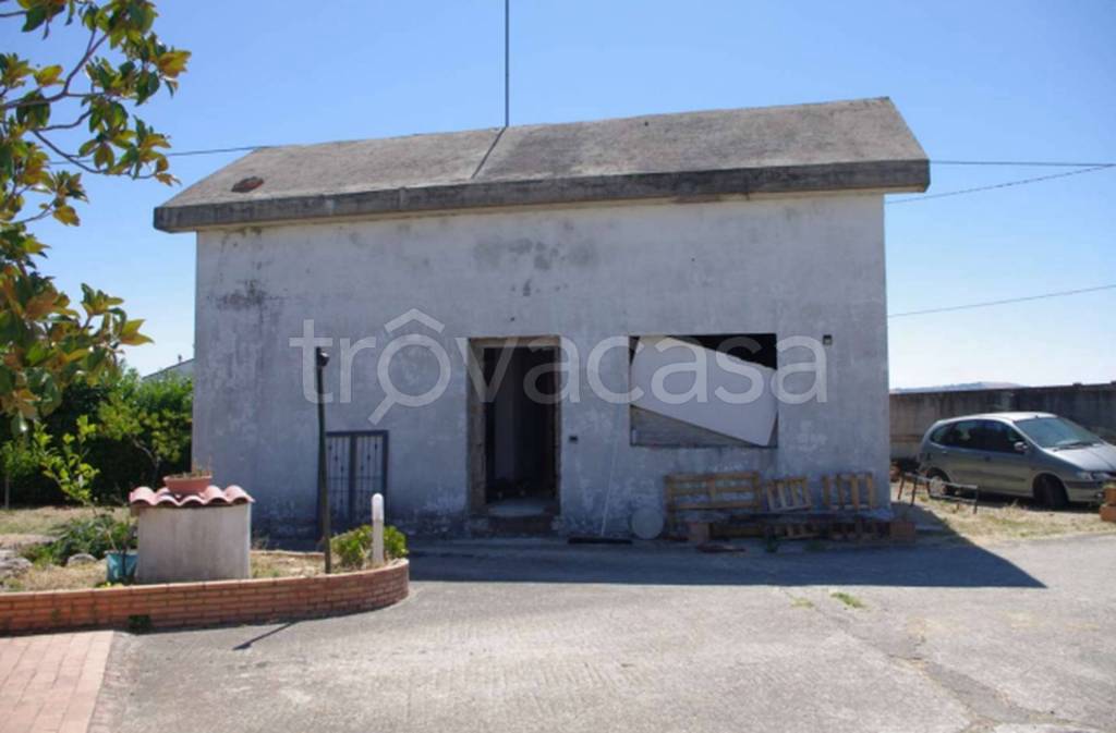 immagine annuncio 9 di 14