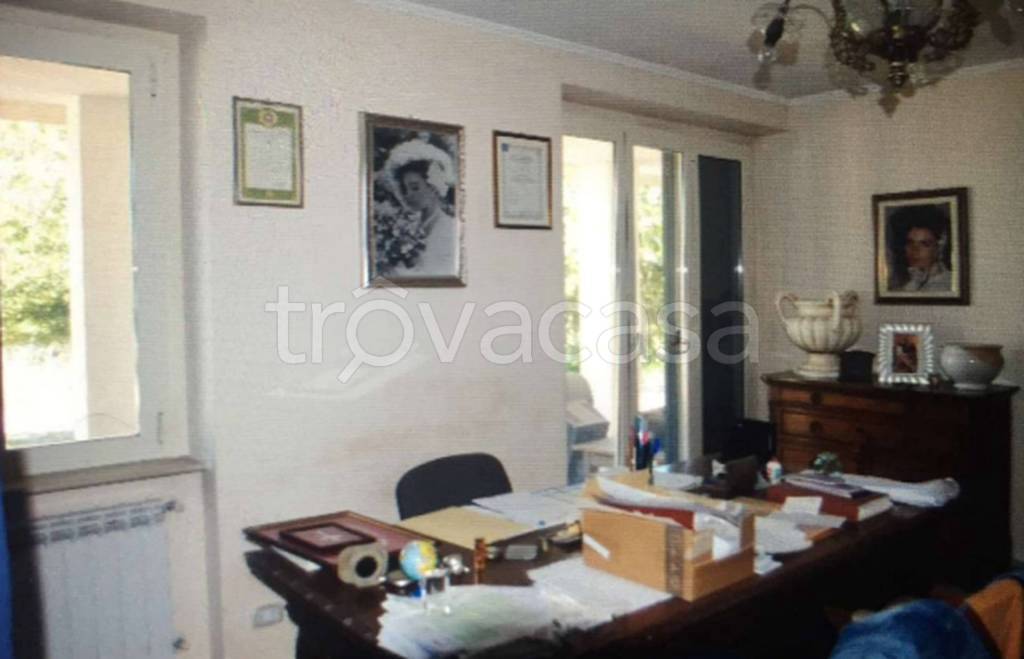 immagine annuncio 12 di 14