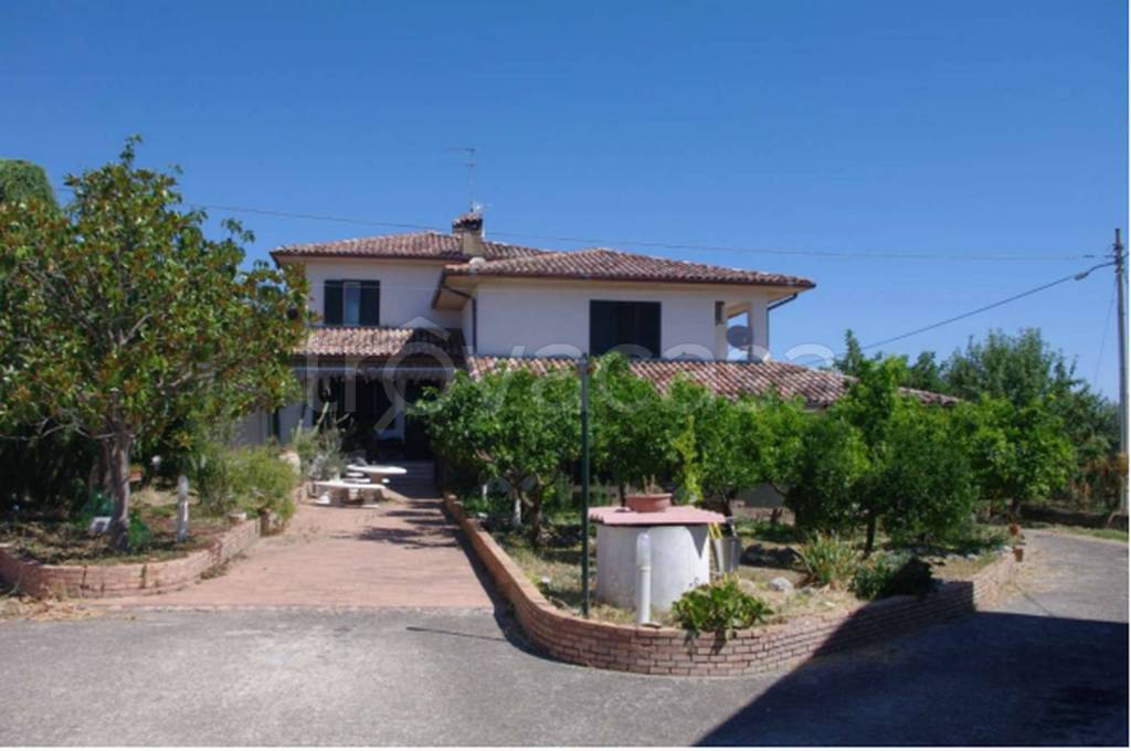 immagine annuncio 13 di 14