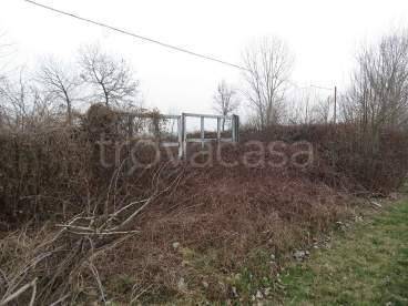 immagine annuncio 6 di 8