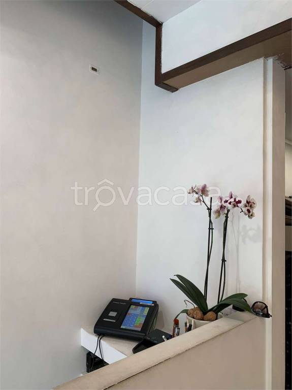 immagine annuncio 4 di 8