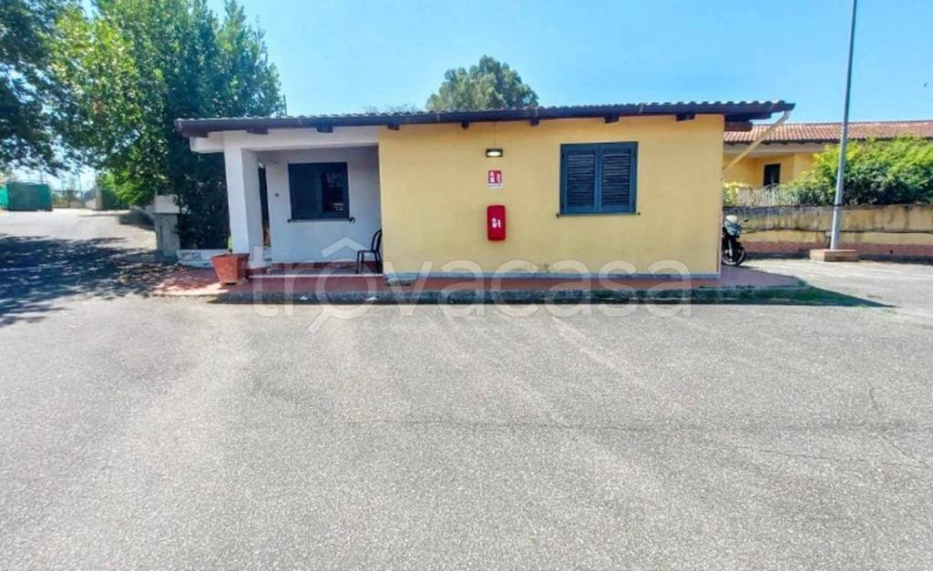 immagine annuncio 5 di 11