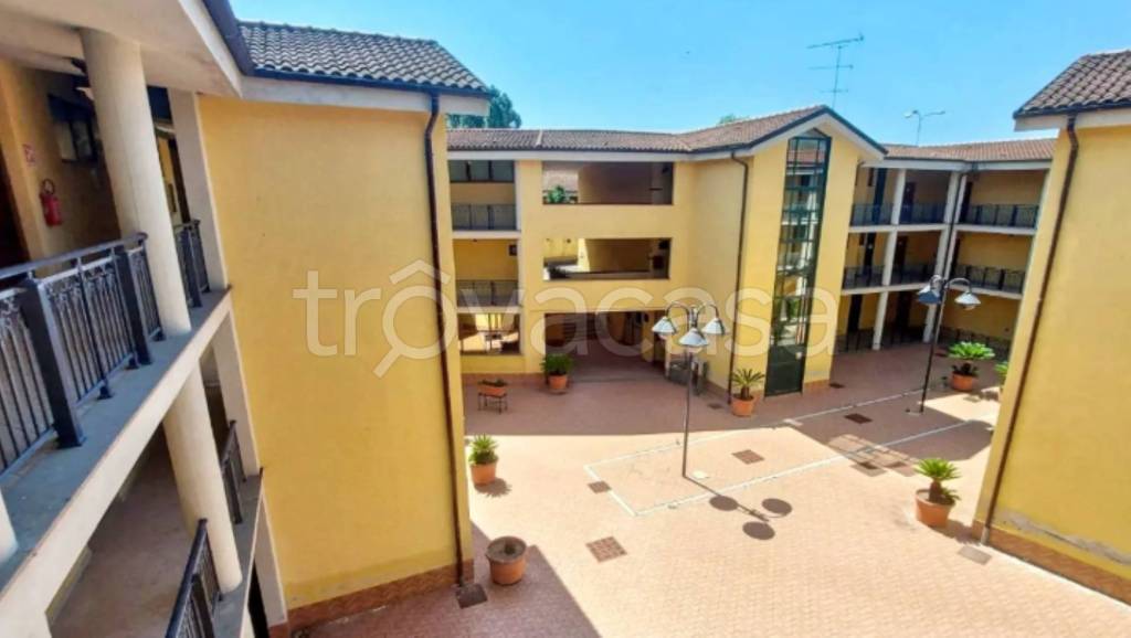 immagine annuncio 3 di 11