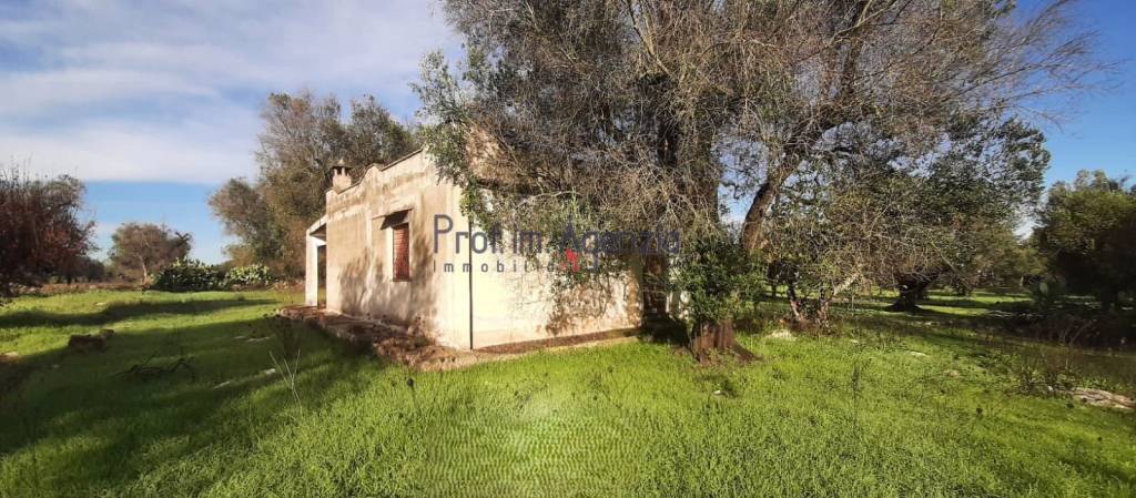 immagine annuncio 2 di 9