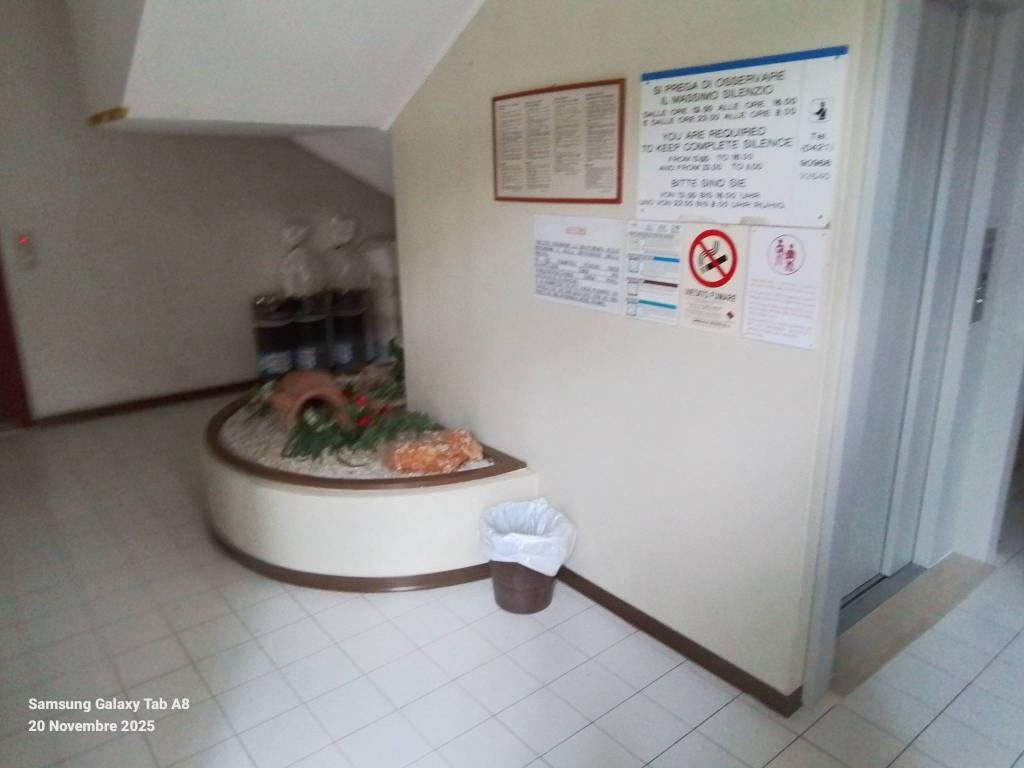 immagine annuncio 2 di 6