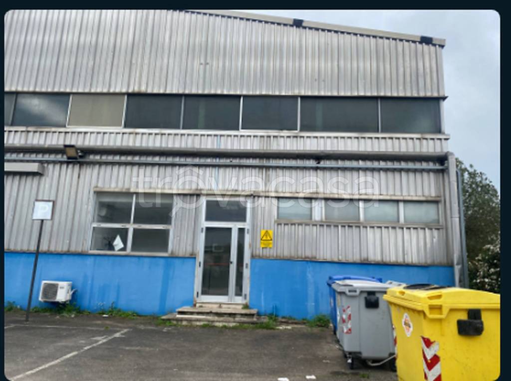 immagine annuncio 5 di 10