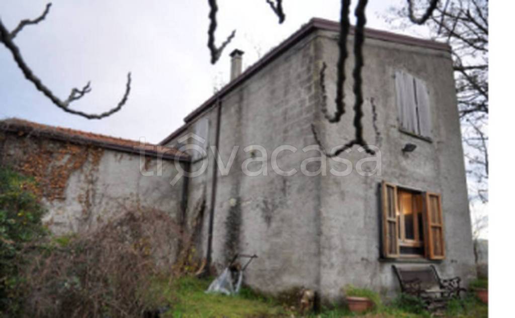 immagine annuncio 7 di 11