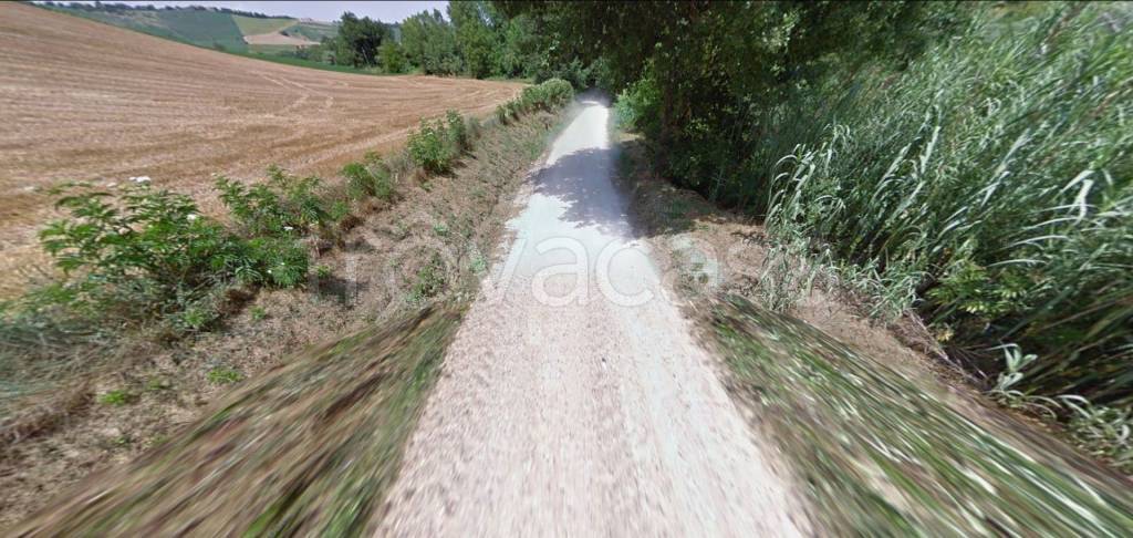 immagine annuncio 10 di 12