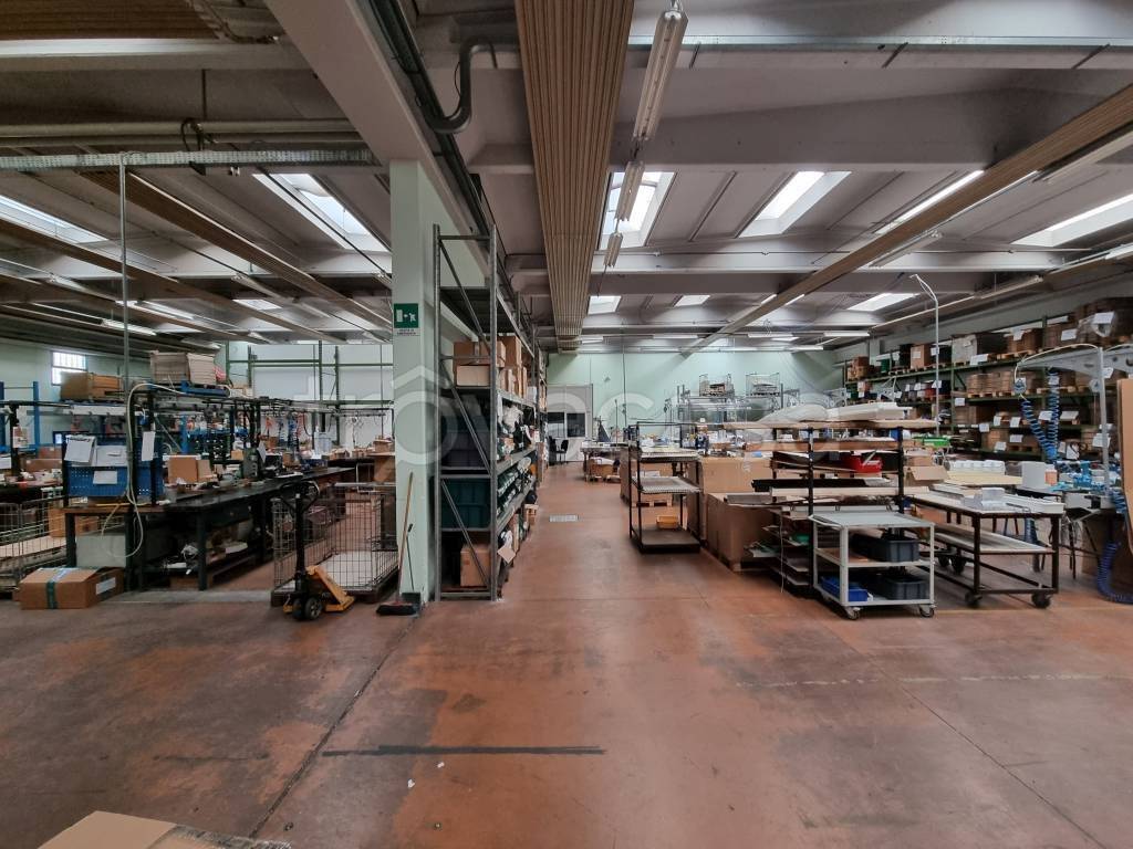 immagine annuncio 11 di 15