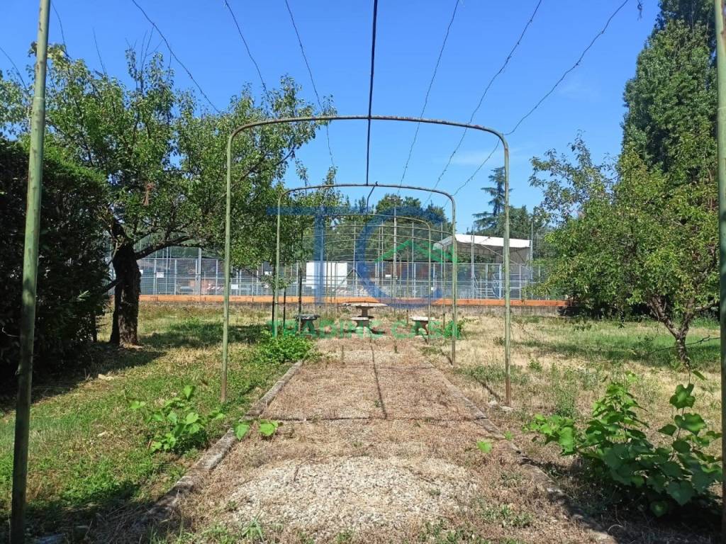 immagine annuncio 4 di 11