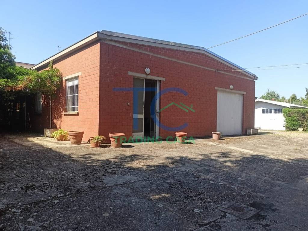 immagine annuncio 6 di 11