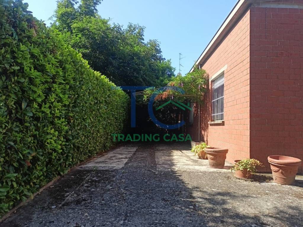 immagine annuncio 10 di 11