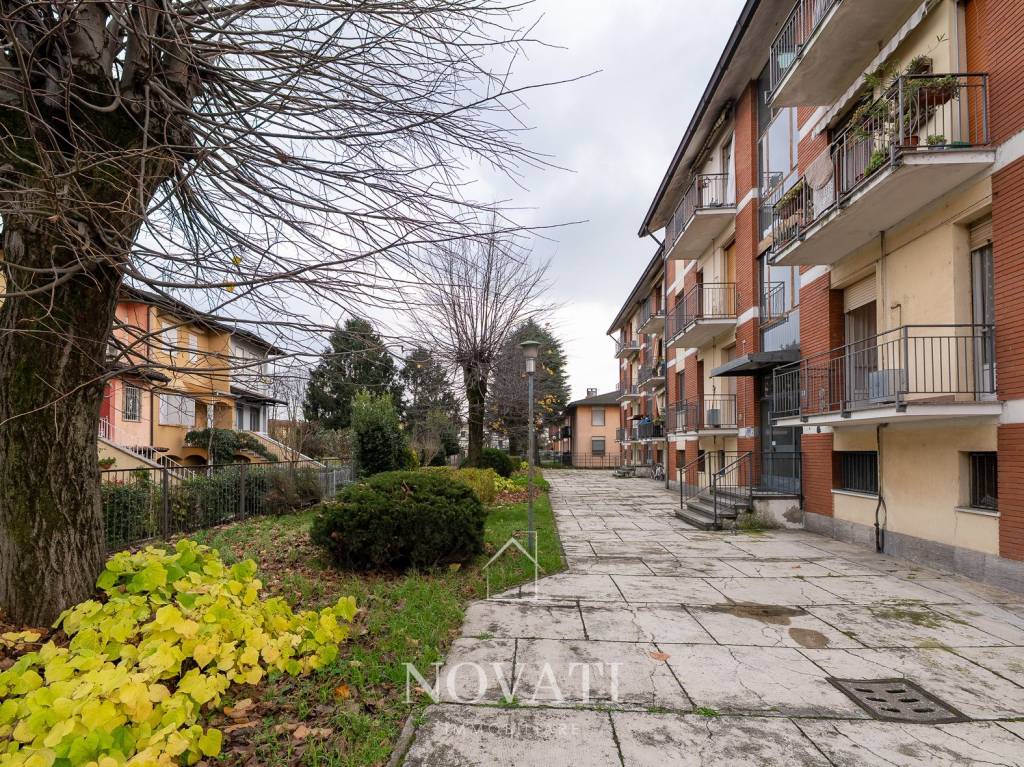 immagine annuncio 13 di 15