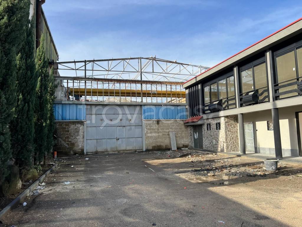 immagine annuncio 1 di 2