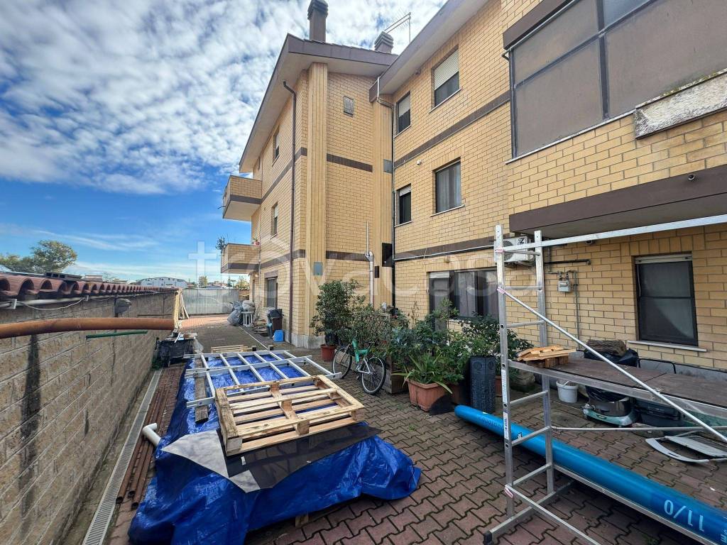 immagine annuncio 9 di 15