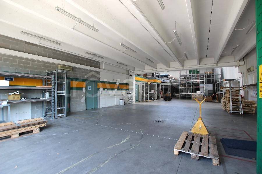 immagine annuncio 11 di 15