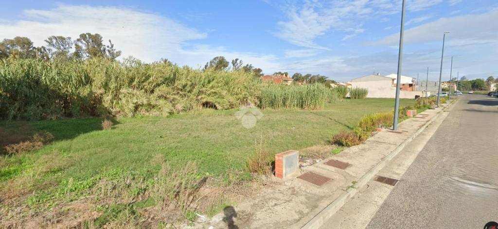 immagine annuncio 3 di 12