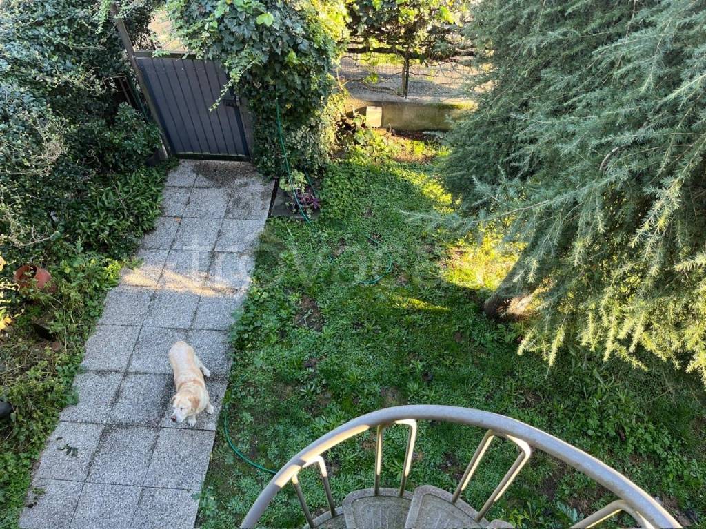 immagine annuncio 6 di 15