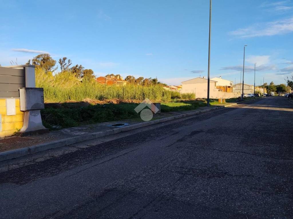 immagine annuncio 9 di 12