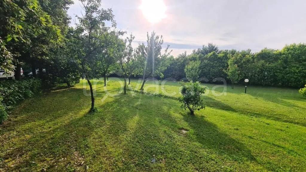 immagine annuncio 3 di 9