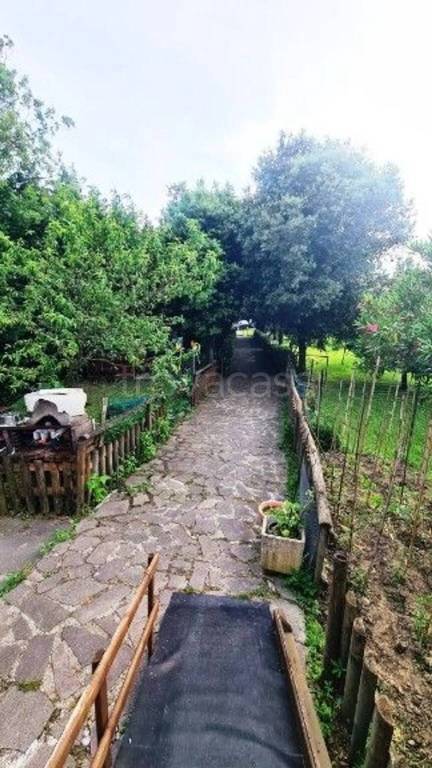 immagine annuncio 5 di 9