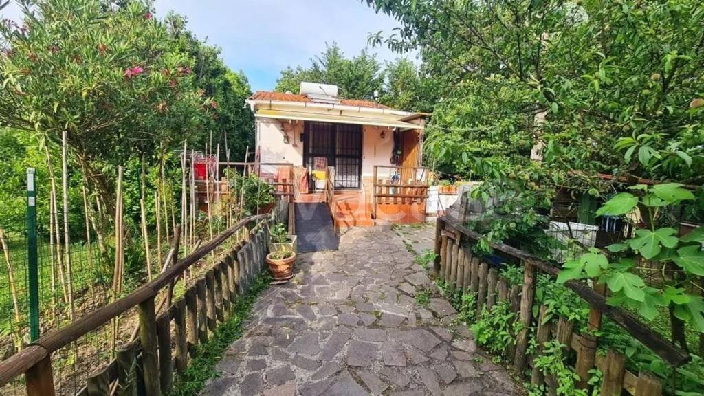 immagine annuncio 6 di 9