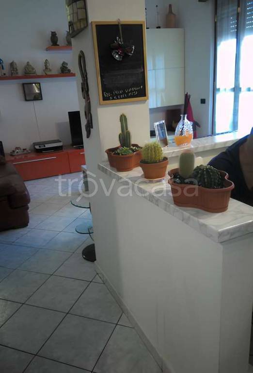 immagine annuncio 5 di 12