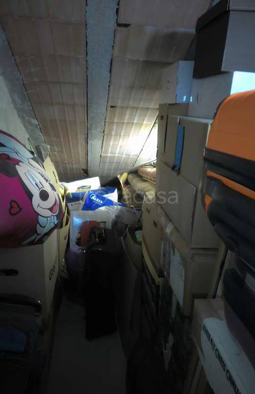 immagine annuncio 11 di 12