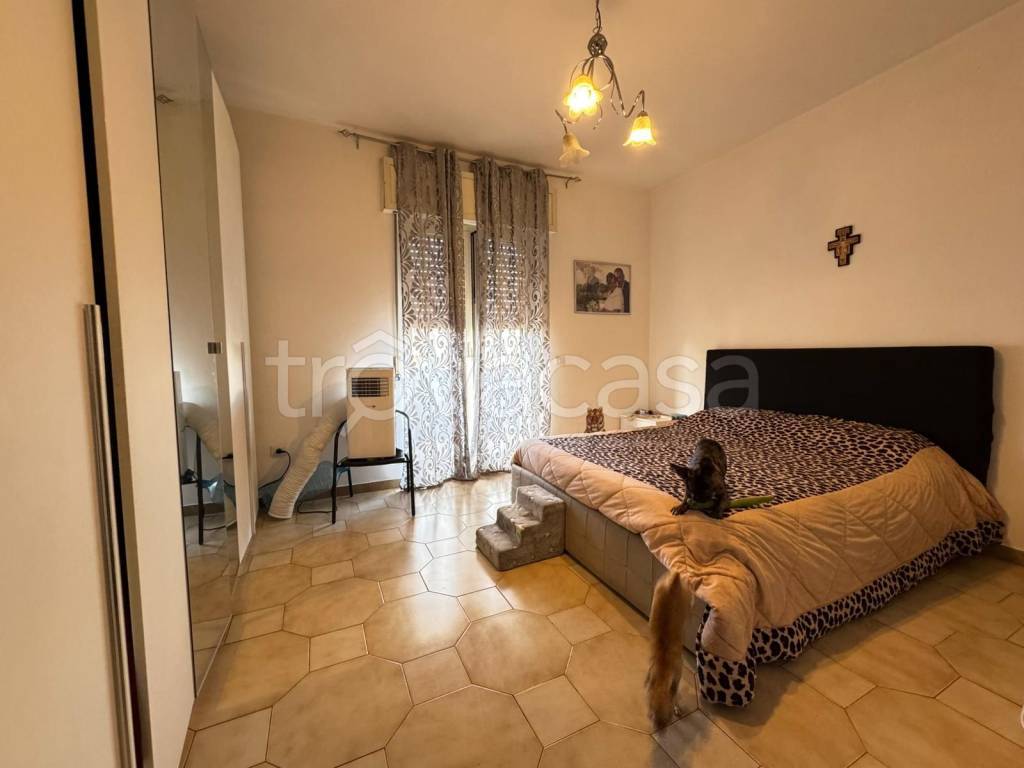 immagine annuncio 10 di 14