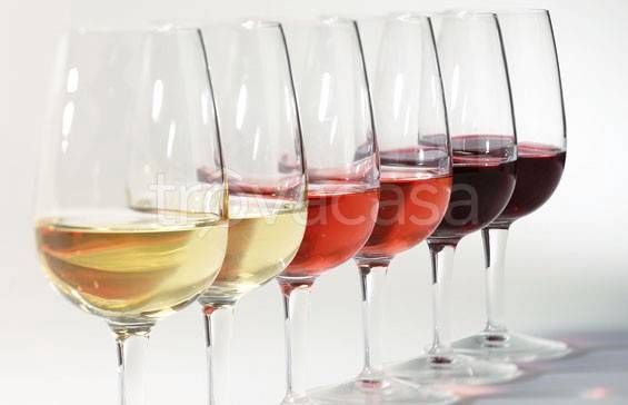 immagine annuncio 4 di 8