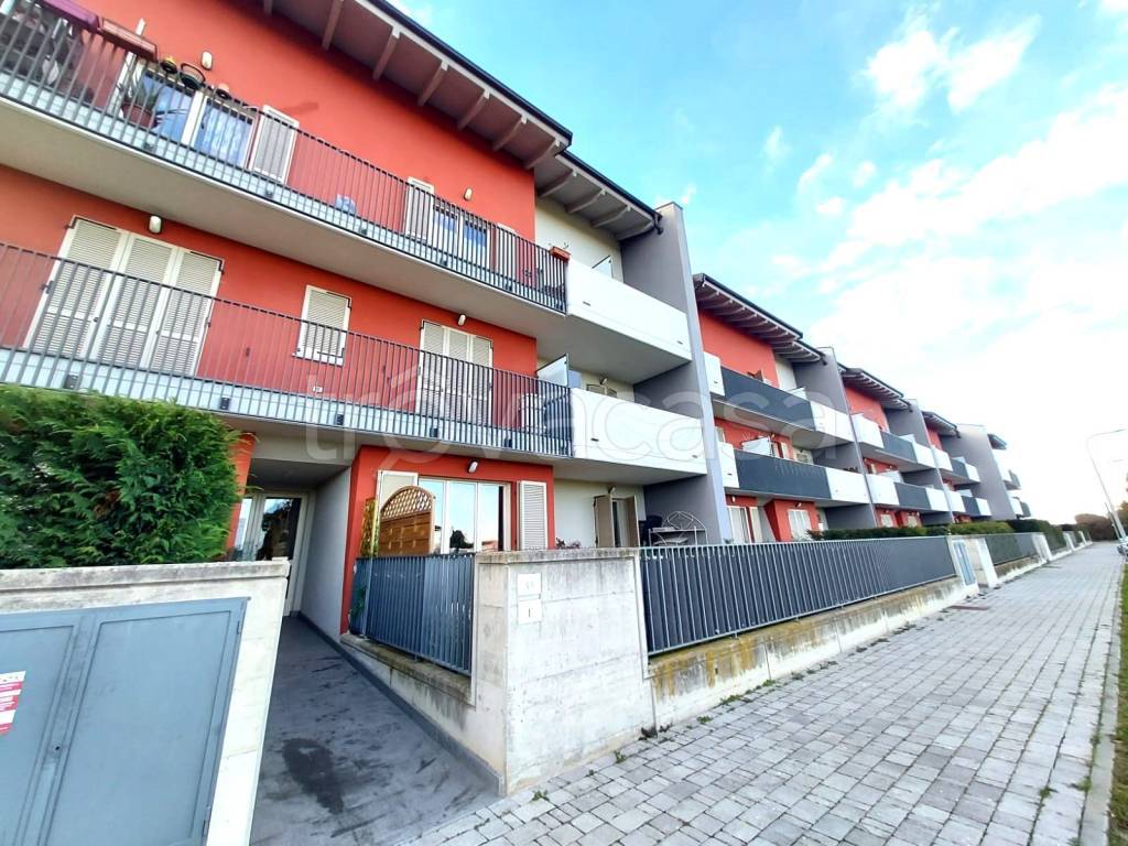 immagine annuncio 1 di 15