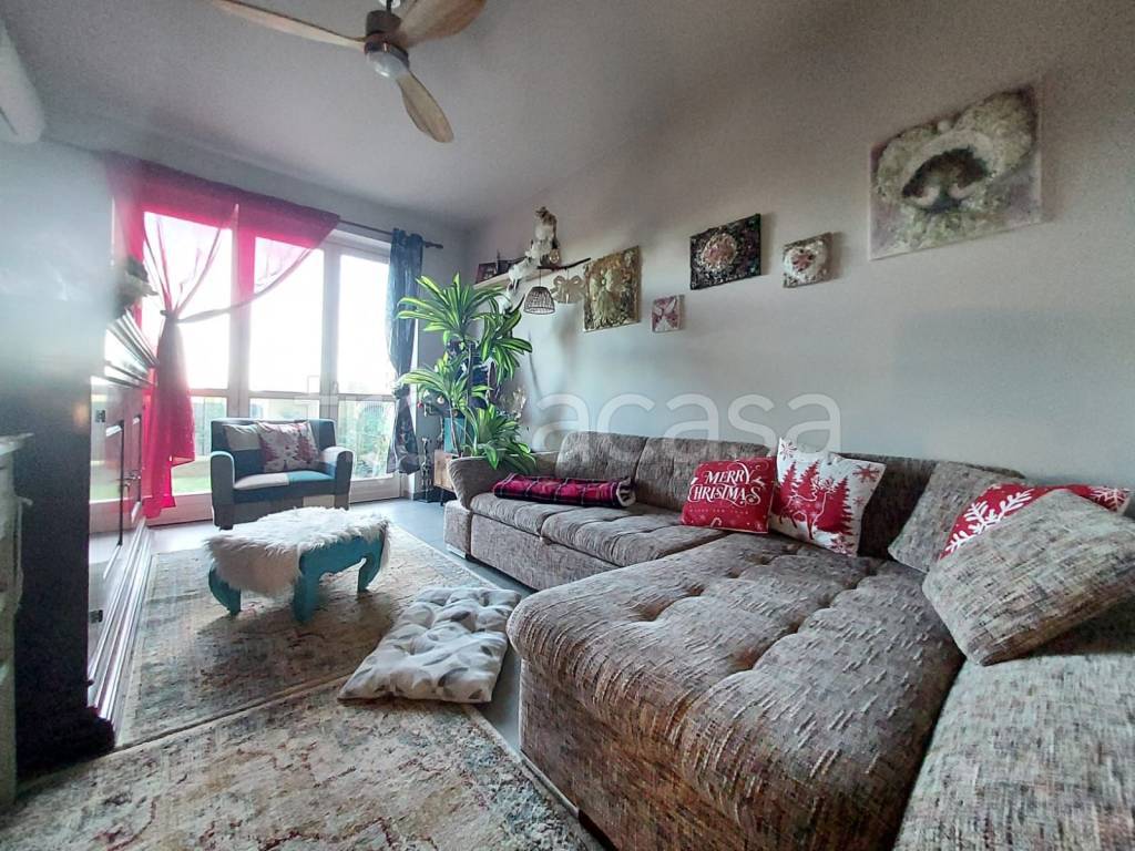 immagine annuncio 7 di 15