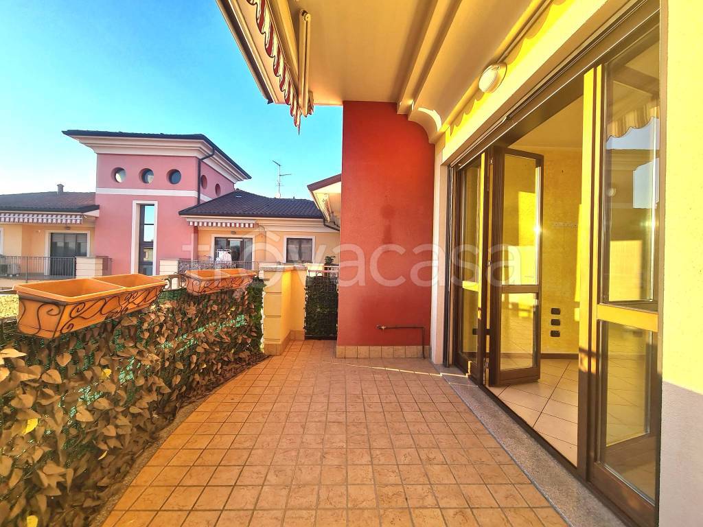 immagine annuncio 6 di 15