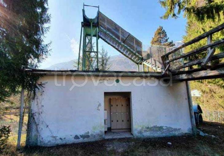 immagine annuncio 6 di 15