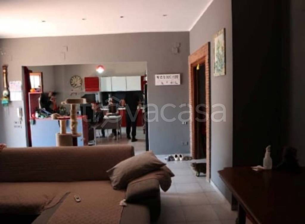 immagine annuncio 6 di 13