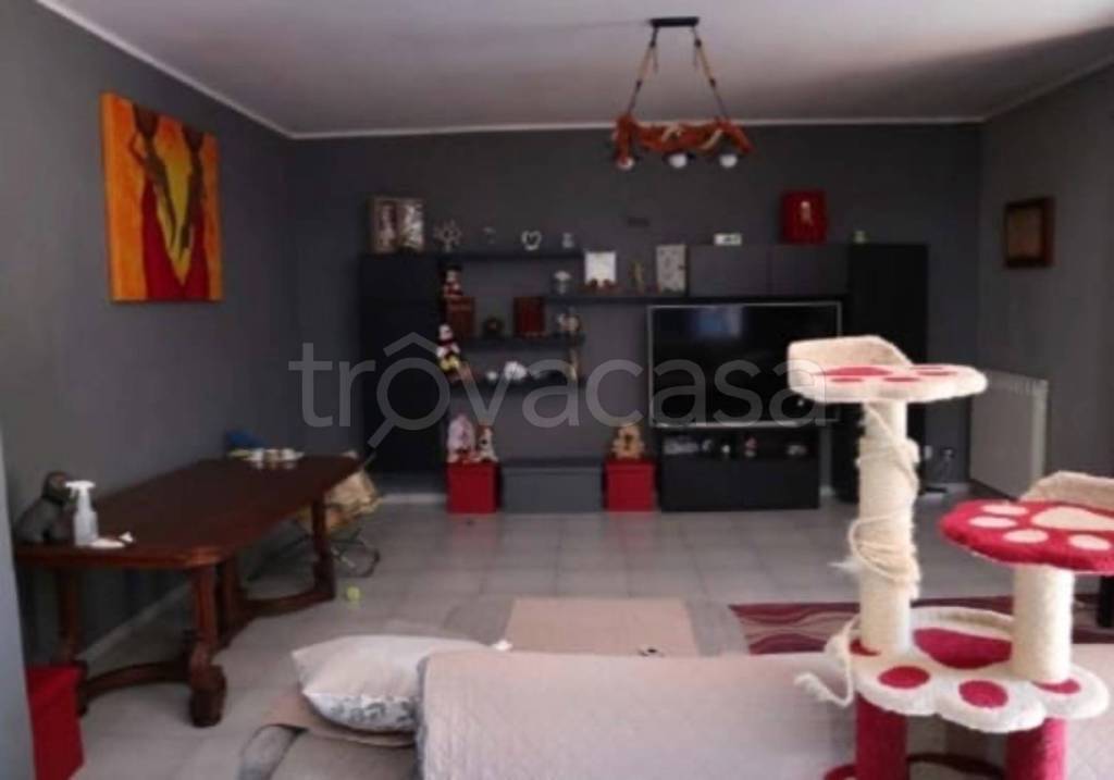 immagine annuncio 8 di 13